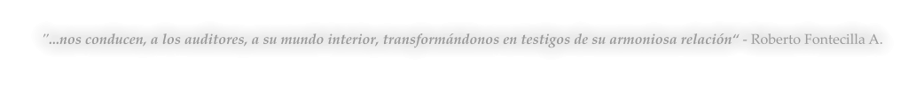 "...nos conducen, a los auditores, a su mundo interior, transformándonos en testigos de su armoniosa relación“ - Roberto Fontecilla A.